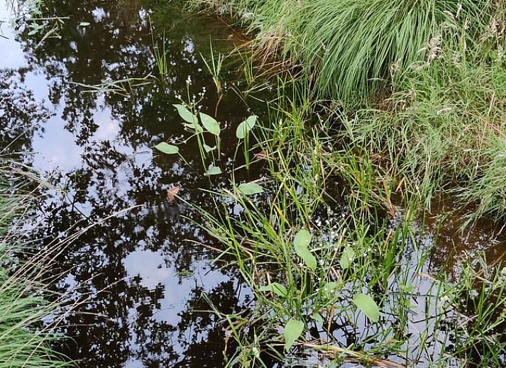 Moderne keuken in Vakantiehuisje in Ruigahuizen met uitzicht op de Friese bossen, Friesland.
