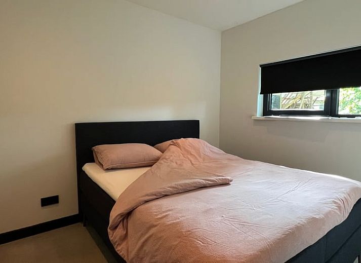 Lavendel in bloembak bij Vakantiehuis in Siegerswoude, te midden van de Friese bossen in Friesland.