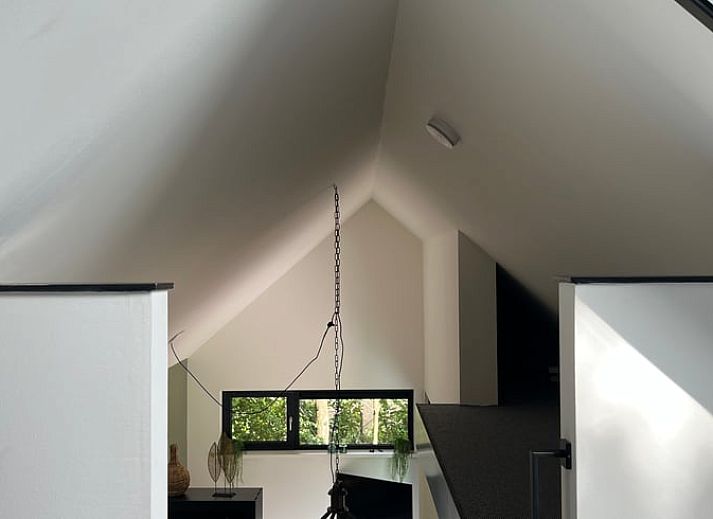 Lavendel in bloembak bij Vakantiehuis in Siegerswoude, te midden van de Friese bossen in Friesland.