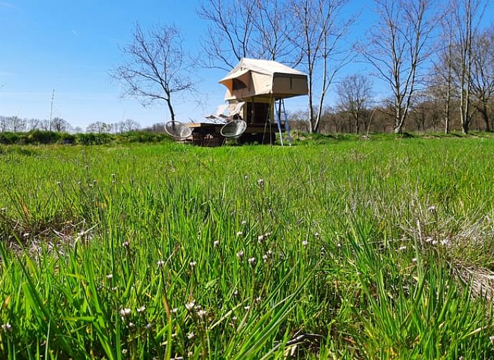 Unterkunft 230603 - Ferienhaus Friese bossen - Vakantiehuis in Siegerswoude