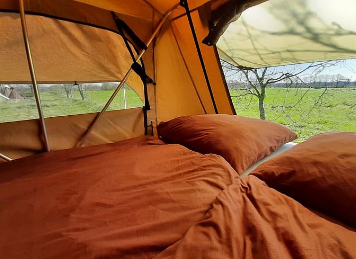 Unterkunft 230603 - Ferienhaus Friese bossen - Vakantiehuis in Siegerswoude
