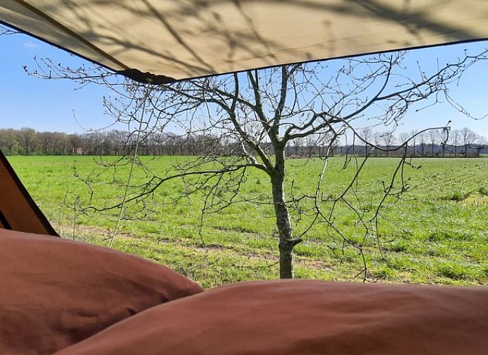 Unterkunft 230603 - Ferienhaus Friese bossen - Vakantiehuis in Siegerswoude