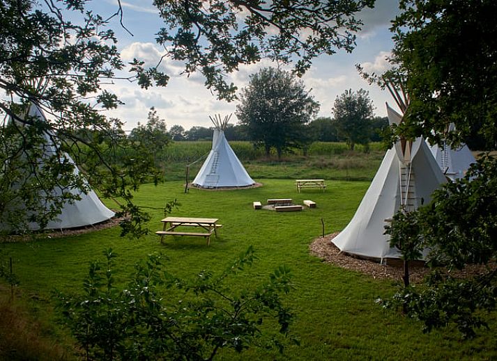 Unterkunft 230603 - Ferienhaus Friese bossen - Vakantiehuis in Siegerswoude