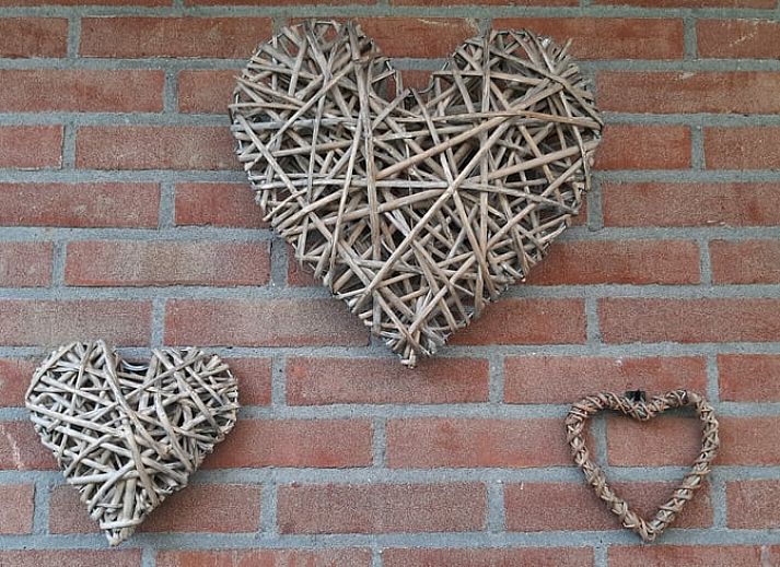 Unterkunft 230603 - Ferienhaus Friese bossen - Vakantiehuis in Siegerswoude