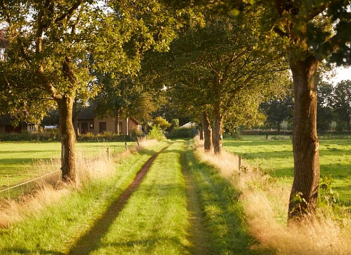 Unterkunft 230603 - Ferienhaus Friese bossen - Vakantiehuis in Siegerswoude