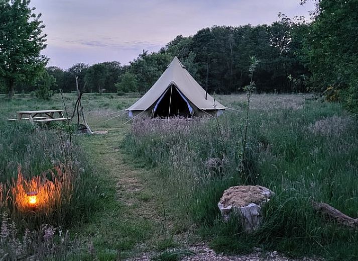 Unterkunft 230605 - Ferienhaus Friese bossen - Huisje in Siegerswoude