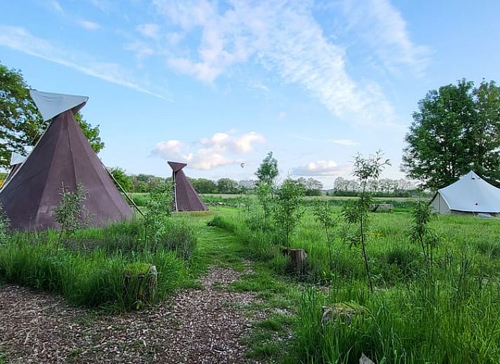 Unterkunft 230605 - Ferienhaus Friese bossen - Huisje in Siegerswoude