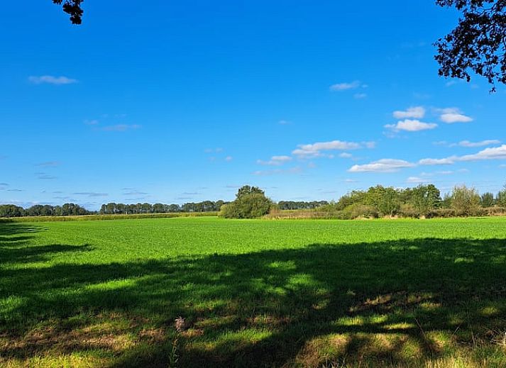 Unterkunft 230609 - Ferienhaus Friese bossen - Huisje in Siegerswoude - Bakkeveen