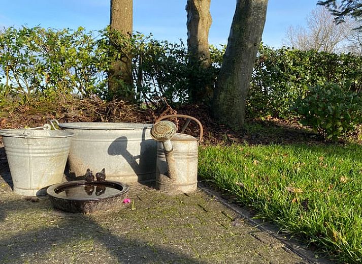 Das Ferienhaus in Sondel bietet einen charmanten Aussenbereich in den ruhigen friesischen Waeldern, Friesland.