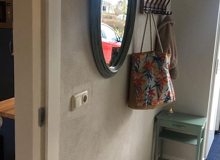 Das Ferienhaus in Sondel bietet einen charmanten Aussenbereich in den ruhigen friesischen Waeldern, Friesland.