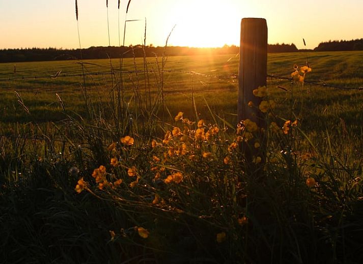 Moderne keuken in Vakantiehuisje in Sondel, compleet met alle gemakken in Friesland.