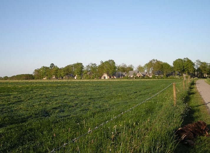 Moderne keuken in Vakantiehuisje in Sondel, compleet met alle gemakken in Friesland.