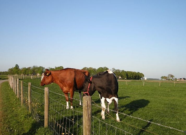 Knusse slaapkamer in Vakantiehuisje in Sondel, comfortabele nachtrust in Friesland.
