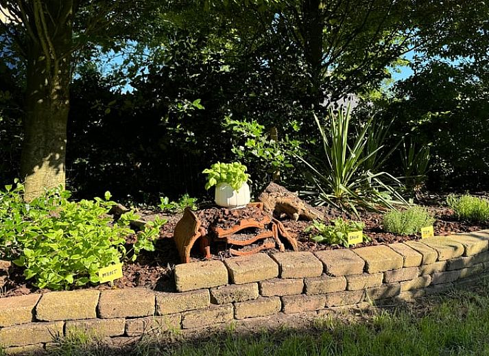 Ferienhaus in Sondel mit grossem Garten und Liege im waldreichen Friesland.