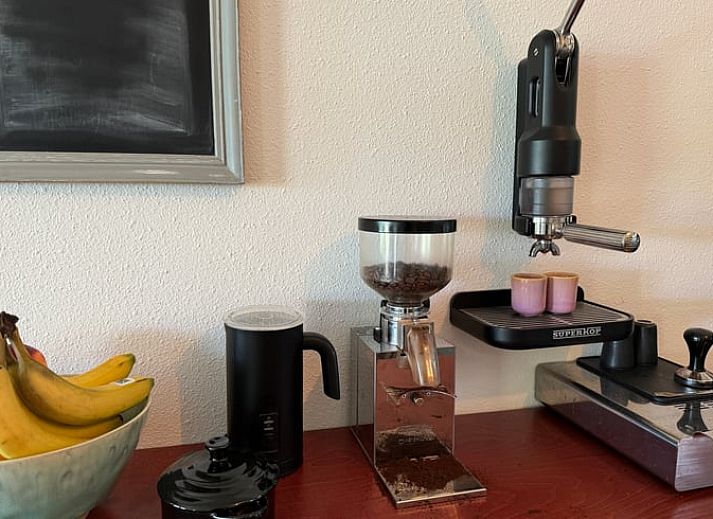 Ferienhaus in Sondel mit Auto und gruener Umgebung im waldreichen Friesland.