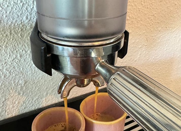 Ferienhaus in Sondel mit Auto und gruener Umgebung im waldreichen Friesland.