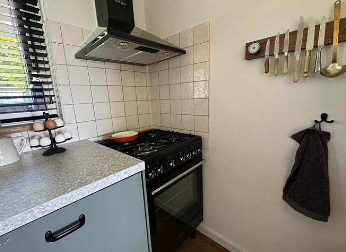 Kraeutergarten im Ferienhaus in Sondel, umgeben von friesischen Waeldern in Friesland.