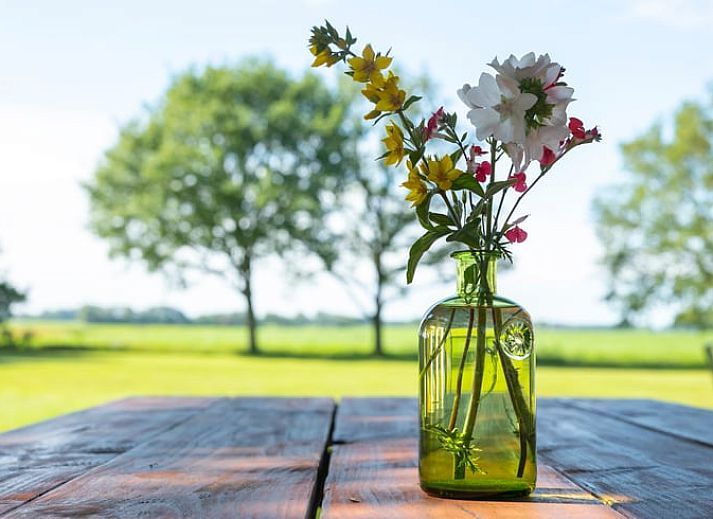 Spacious garden at cottage in Haule, with solar panels and surrounded by Frisian forests.