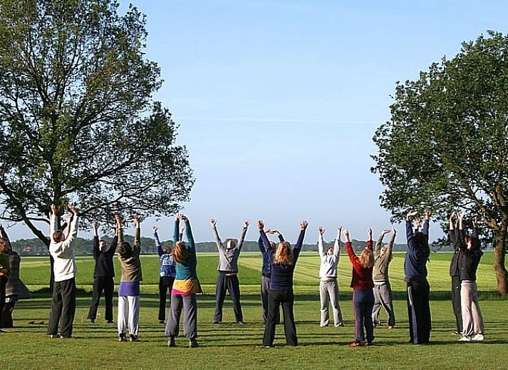 Cozy terrace attached to cottage in Haule, overlooking Frisian nature.