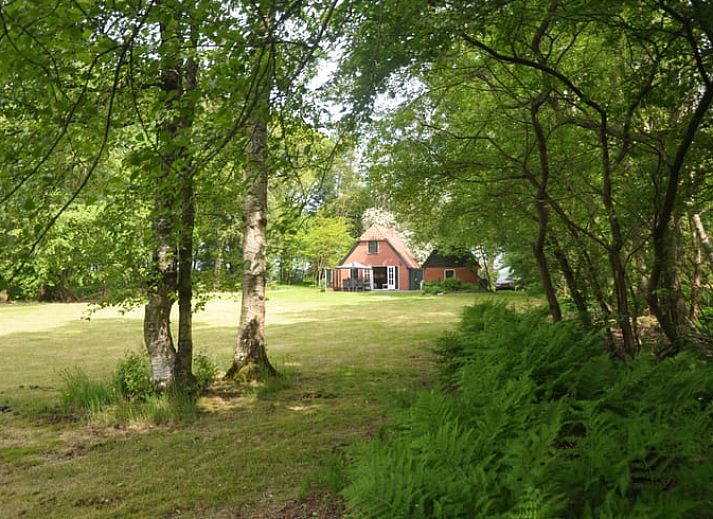 Comfortabele zithoek met uitzicht op tuin in Huisje in Haule, vakantiehuis in Friese bossen.