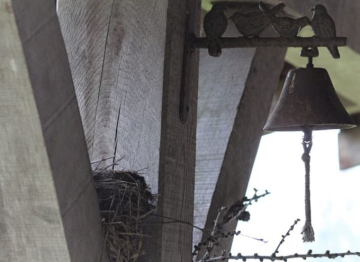 Charming vacation home Cottage in Haule in the Frisian forests of Friesland.