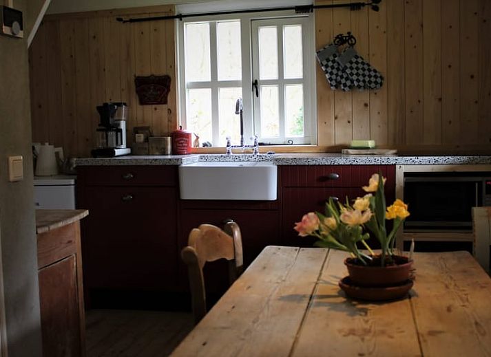 Charming vacation home Cottage in Haule in the Frisian forests of Friesland.