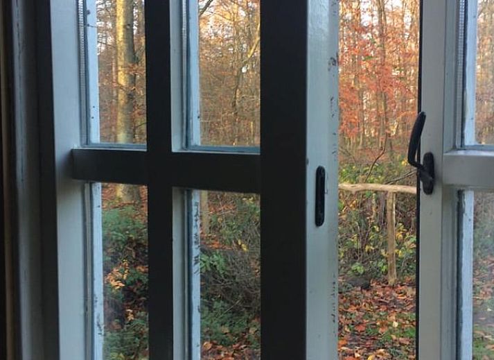 Cozy porch of Huisje in Haule, vacation home in Friesland.