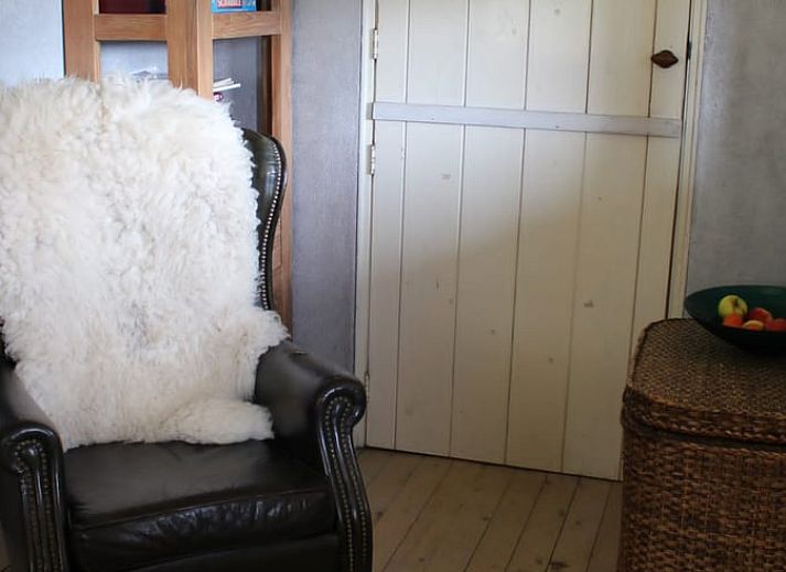 Green plants on the roof of Cottage in Haule, located in the Frisian forests.