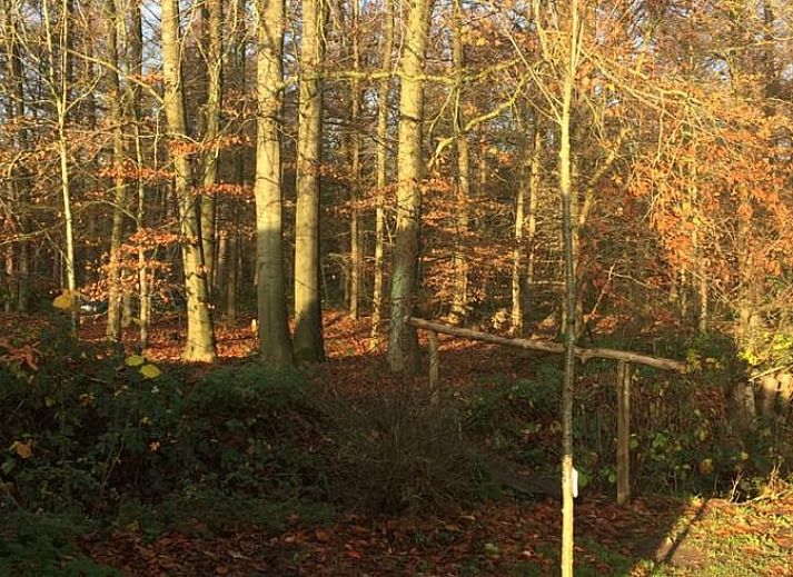 Rustic bell at the entrance of Huisje in Haule, vacation home in Friesland.
