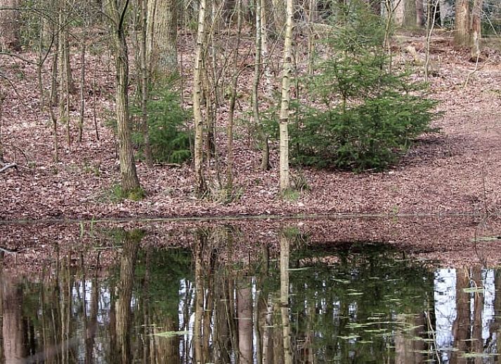 Rustic bell at the entrance of Huisje in Haule, vacation home in Friesland.