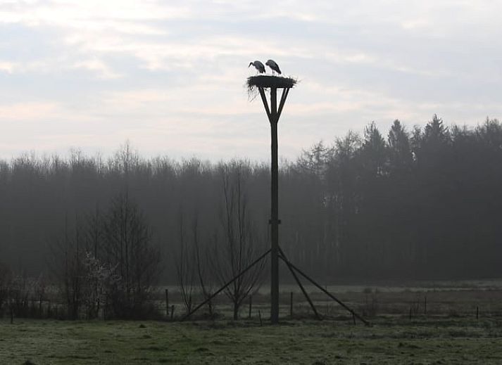Rustic bell at the entrance of Huisje in Haule, vacation home in Friesland.