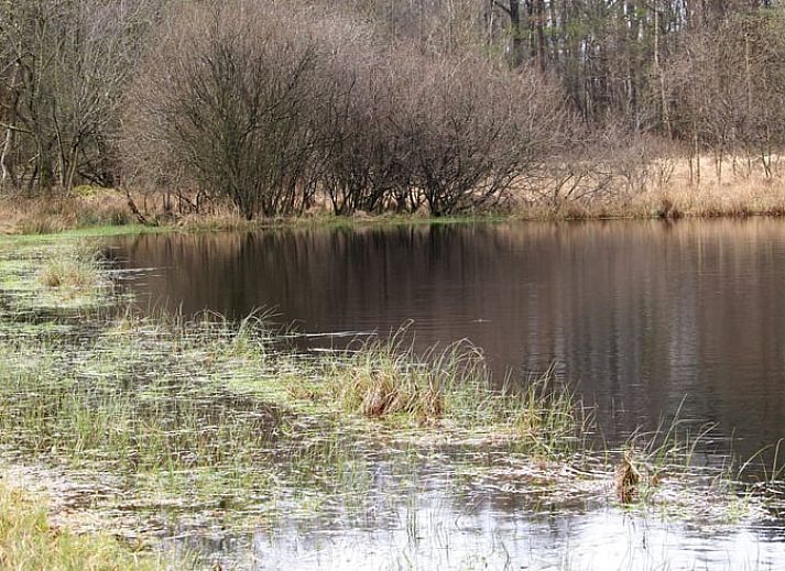 Cozy kitchen in Cottage in Haule, vacation home in the Frisian woods.