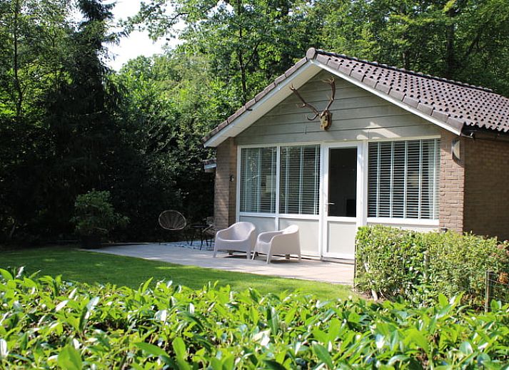 Verblijf 230905 • Vakantiewoning Friese bossen • Vakantiehuis in Bakkeveen