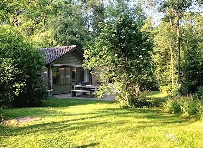Verblijf 230907 • Vakantiewoning Friese bossen • Vakantiehuisje in Bakkeveen