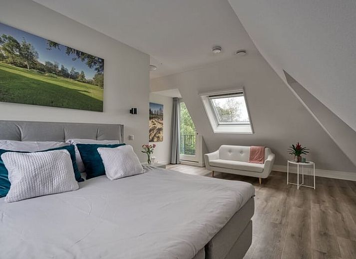 Toegangspad naar vakantiehuisje in Bakkeveen, rustig gelegen in Friese bossen.