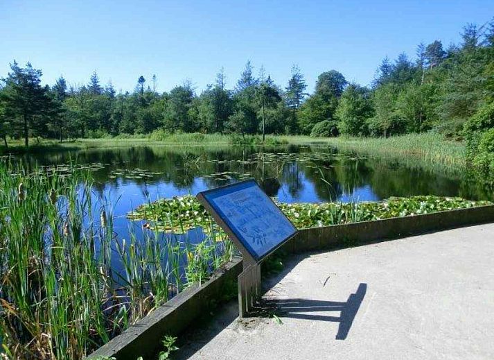 Adembenemend uitzicht op de Friese bossen vanuit vakantiehuis FR163 in Bakkeveen.