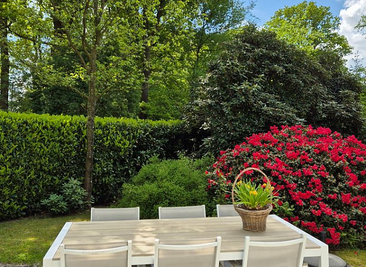 Verblijf 230913 - Vakantiewoning Friese bossen - Vakantiehuisje in Bakkeveen