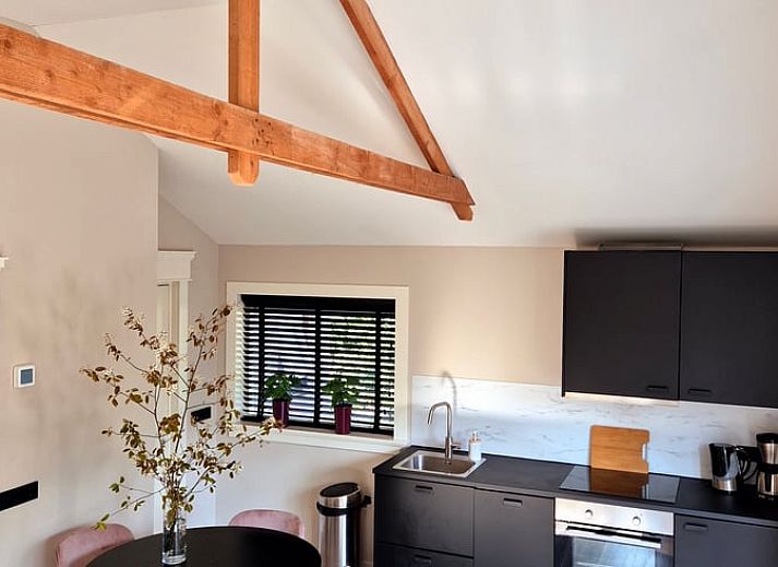 Verblijf 230913 - Vakantiewoning Friese bossen - Vakantiehuisje in Bakkeveen