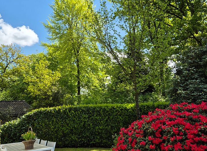 Verblijf 230913 - Vakantiewoning Friese bossen - Vakantiehuisje in Bakkeveen