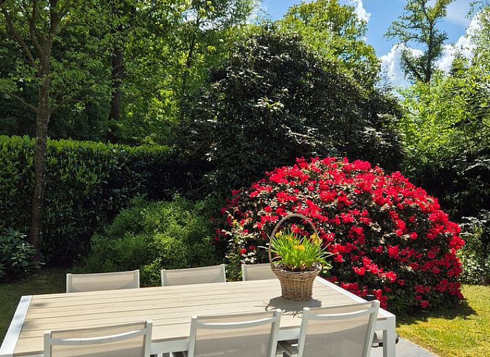 Verblijf 230913 - Vakantiewoning Friese bossen - Vakantiehuisje in Bakkeveen