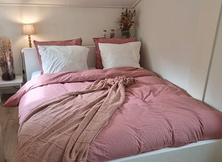 Verblijf 230913 - Vakantiewoning Friese bossen - Vakantiehuisje in Bakkeveen