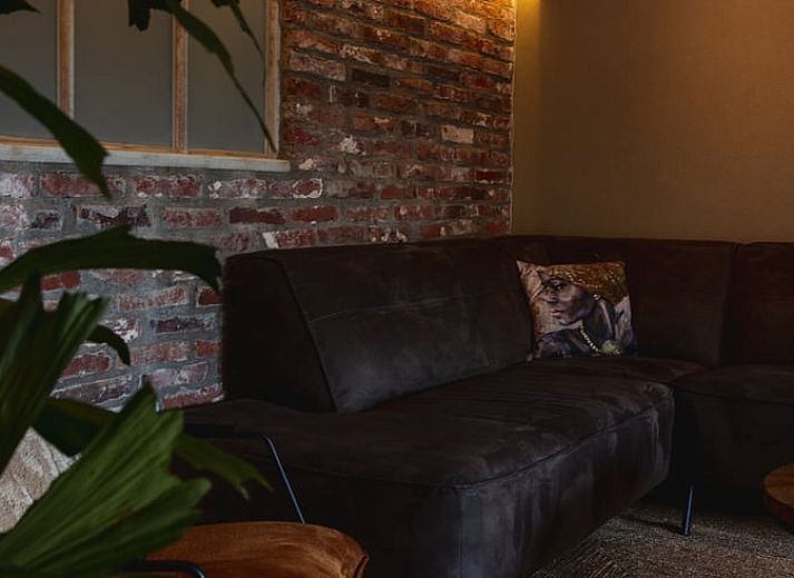 Guest house 230914 - Holiday property Friese bossen - Vakantiehuis in Bakkeveen