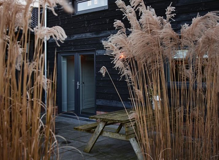 Guest house 230914 - Holiday property Friese bossen - Vakantiehuis in Bakkeveen