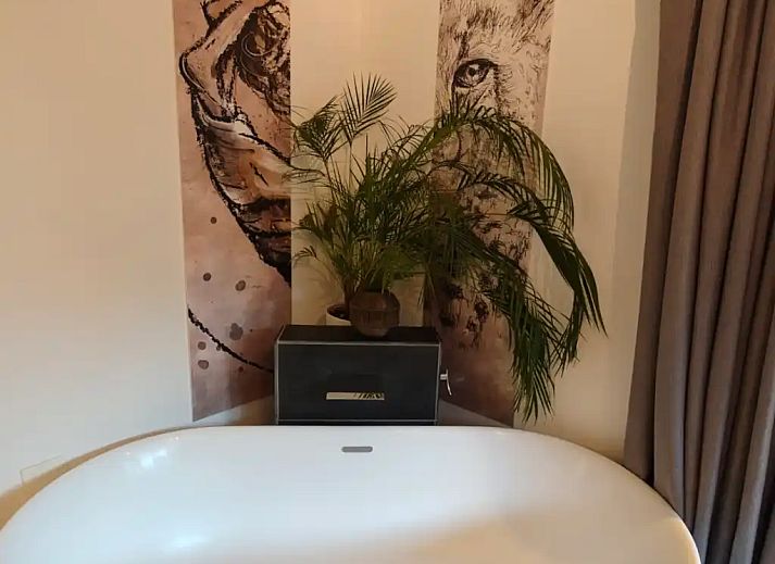 Guest house 231111 - Apartment Friese bossen - Huize Triangel | Studio met sauna