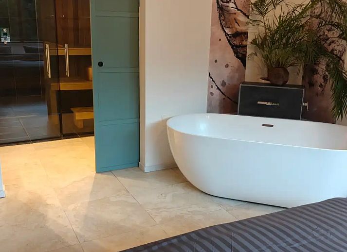 Guest house 231111 - Apartment Friese bossen - Huize Triangel | Studio met sauna
