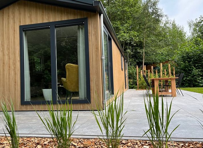 Ferienhaus in Oosterwolde mit moderner Veranda in den friesischen Waeldern, Friesland.