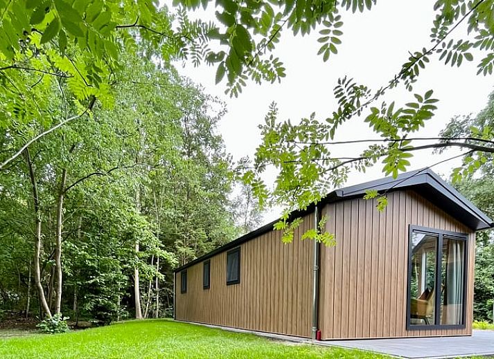 Stilvolles Wohnzimmer im Ferienhaus in Oosterwolde mit Blick auf die friesischen Waelder.