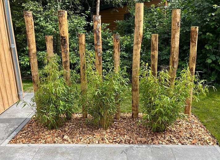 Stilvolles Wohnzimmer im Ferienhaus in Oosterwolde mit Blick auf die friesischen Waelder.