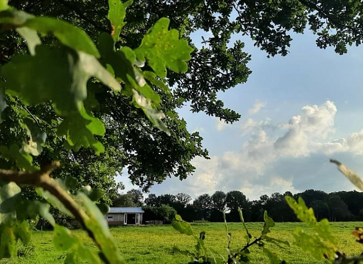 Guest house 231218 - Holiday property Friese bossen - Vakantiehuisje in Oosterwolde