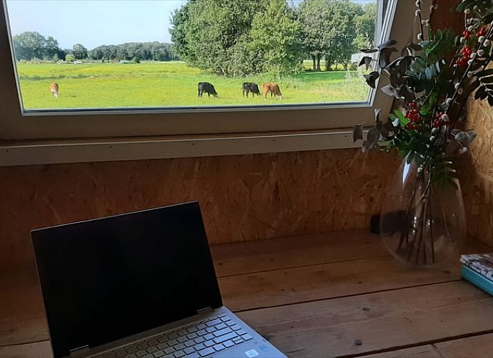 Guest house 231218 - Holiday property Friese bossen - Vakantiehuisje in Oosterwolde